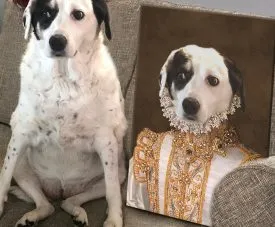 Princess pet portrait canvas, a beloved pet dressed as a graceful young princess